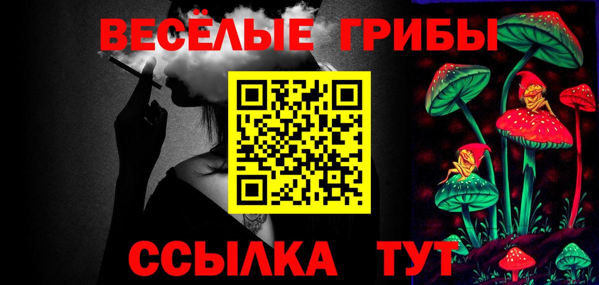 Галлюциногенные грибы Cubensis Клин